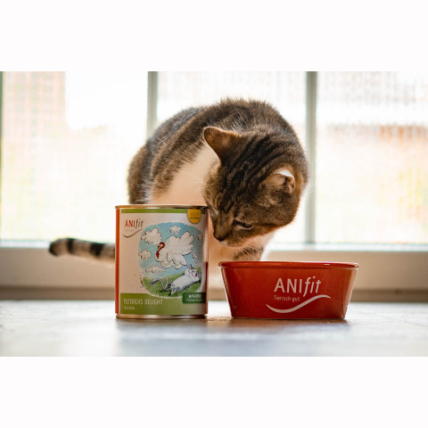 Cat Wet pet food Turkey's Delight (Puterichs Delight) 810g 6 Piece -6- Anifit