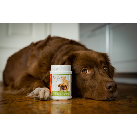 Cat Dog Accessories Supplements Brewers Yeast & Chlorella 170g 1 Piece -3- Anifit